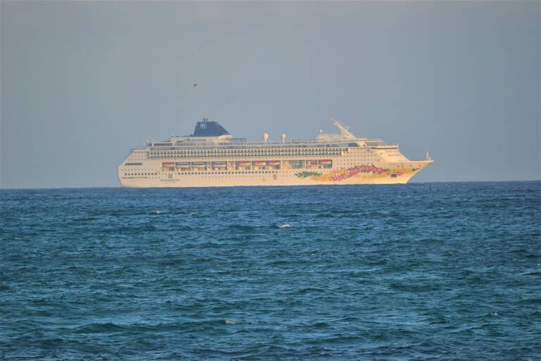 cruise ship 1.jpg