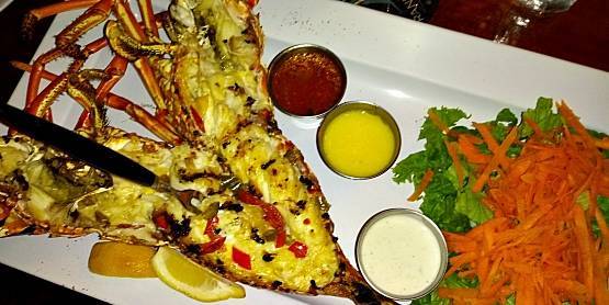 cooked lobster.jpg