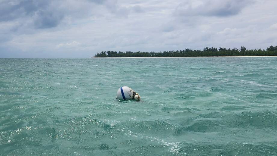 Attached picture ball-floating-away.jpg