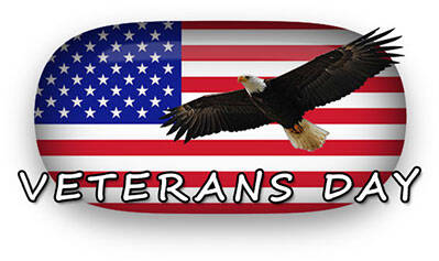 Attached picture veterans-day-eagle-American-flag-sp.jpg