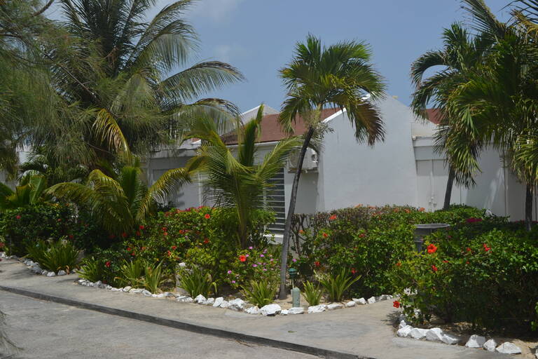 DSC_0179.JPG