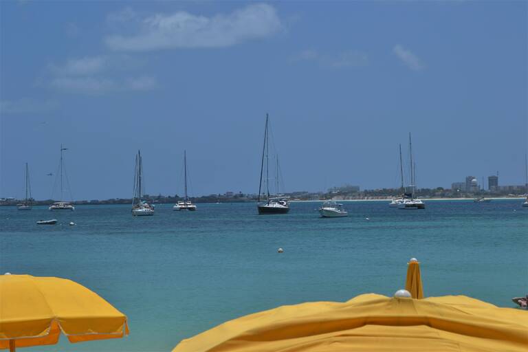 DSC_0299.JPG