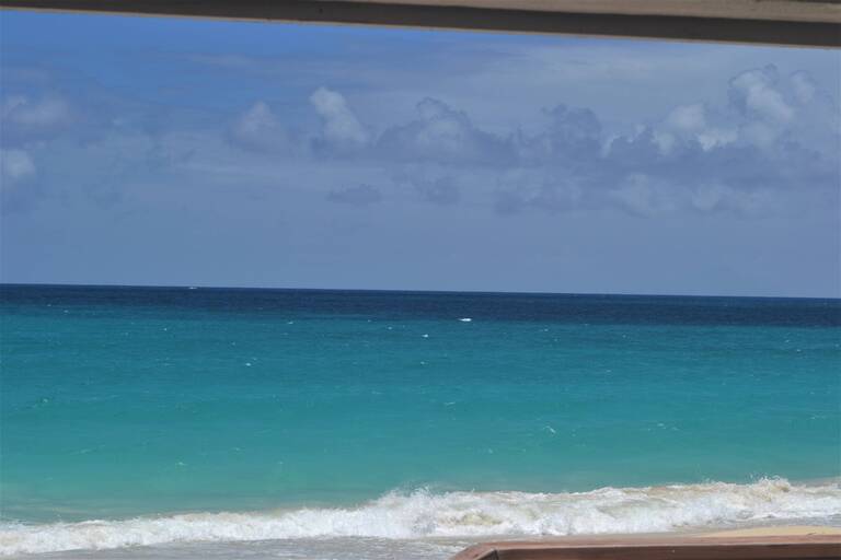 DSC_0385.JPG