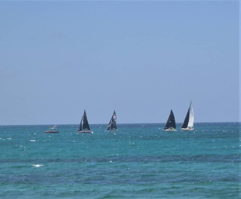 sailboats.jpg