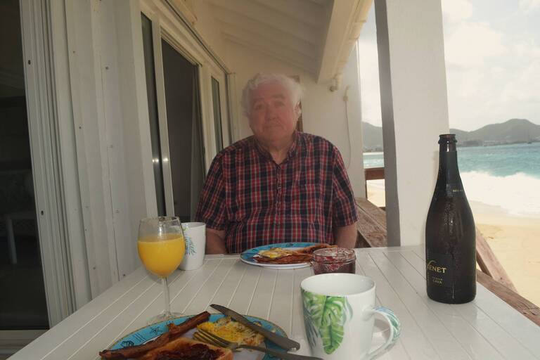 mimosa.JPG