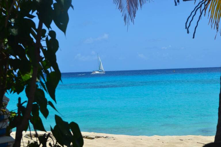 DW sailboat.JPG