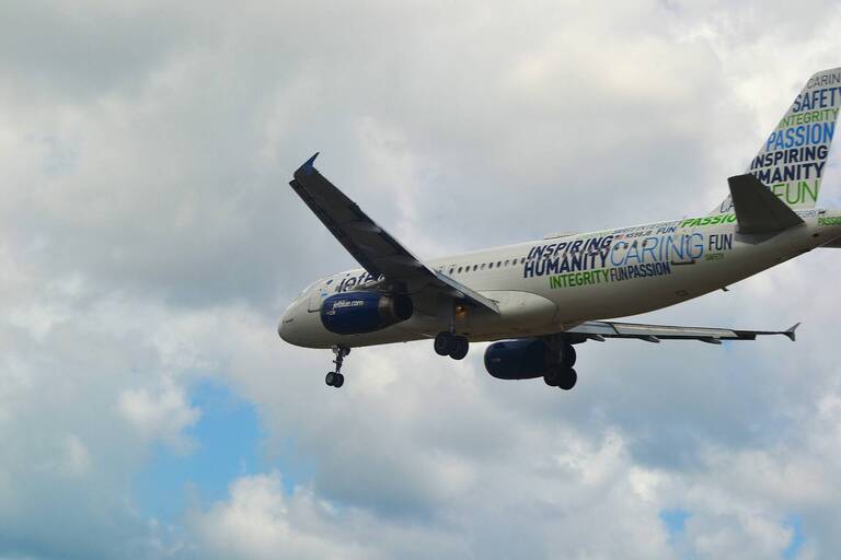 DW Jet Blue 2.JPG