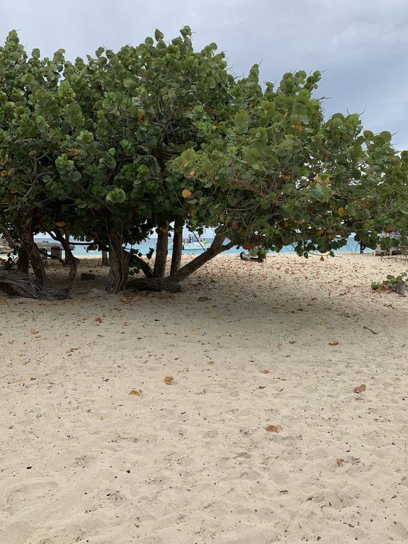 IMG_2346.JPEG