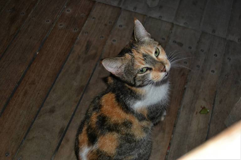 DSC_0375.JPG