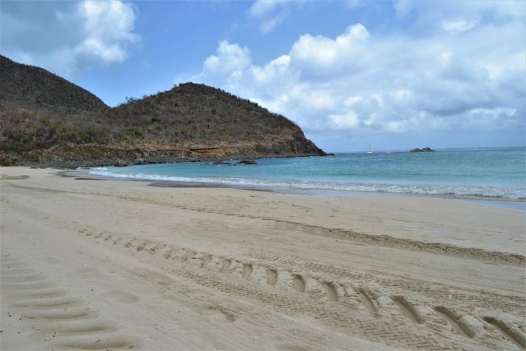 DSC_0270.JPG
