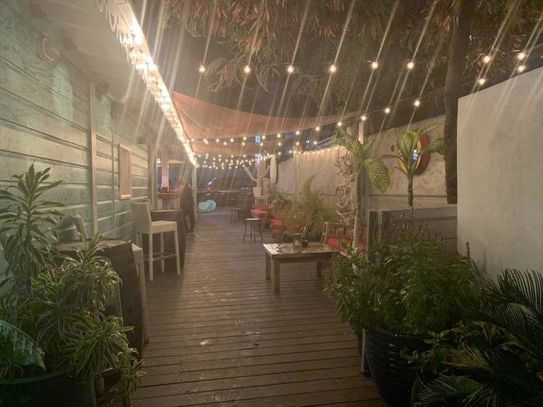 58_NWS garden.jpeg