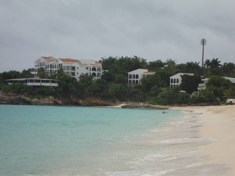 Cell Palm Anguilla.jpg
