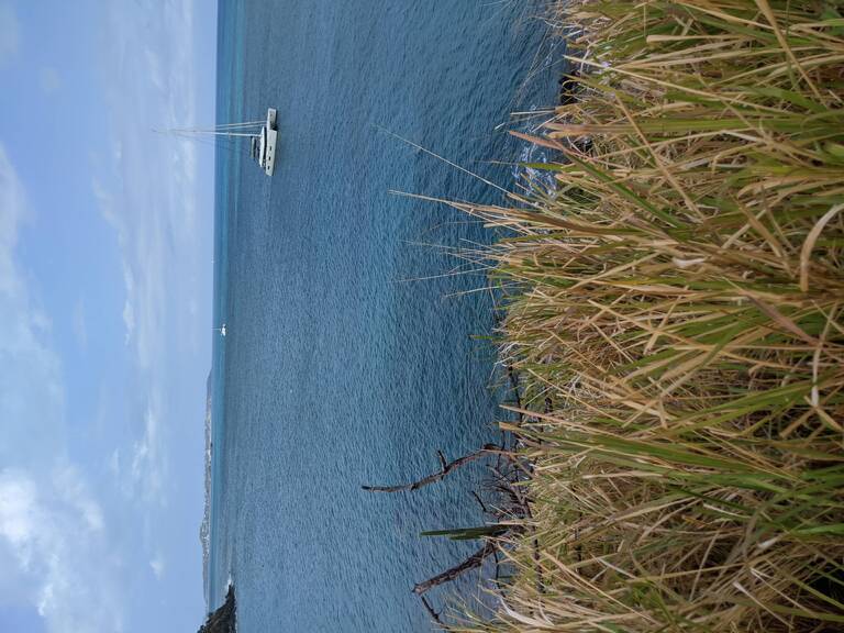 IMG_20210416_103814.jpg
