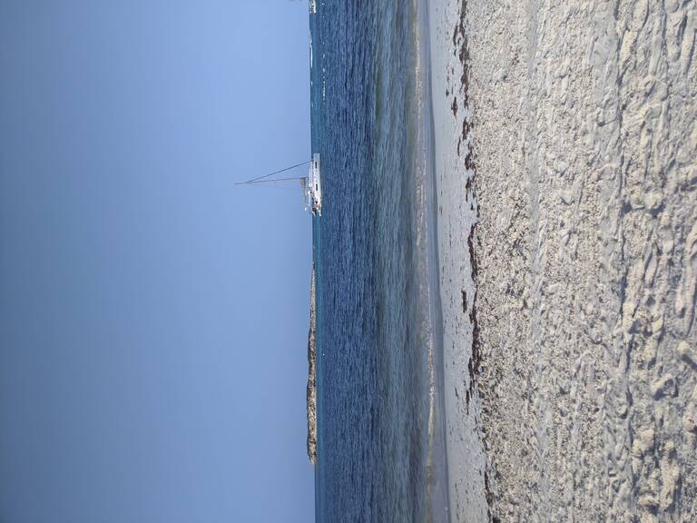 IMG_20210417_170451.jpg