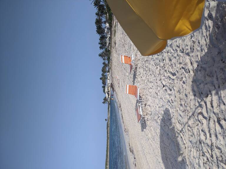 IMG_20210417_170453.jpg