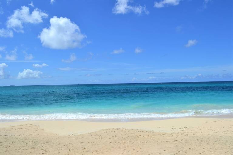 DSC_0043.JPG