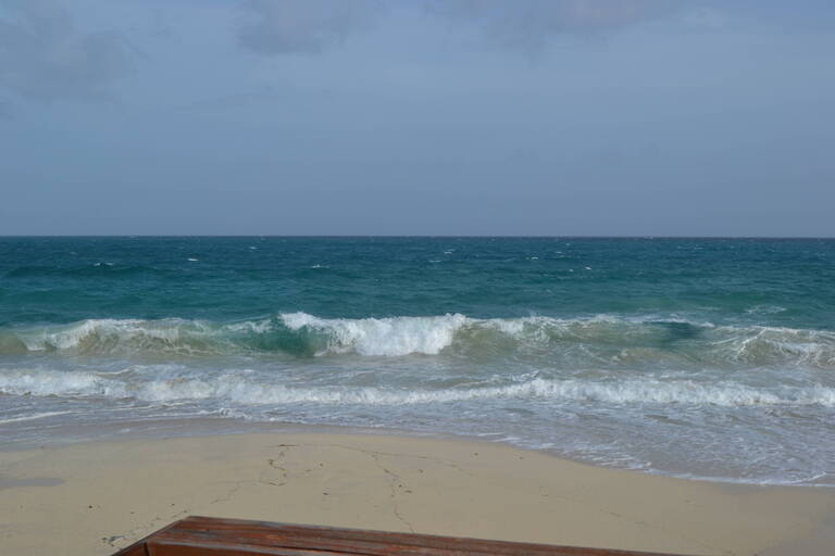 DSC_0247.JPG
