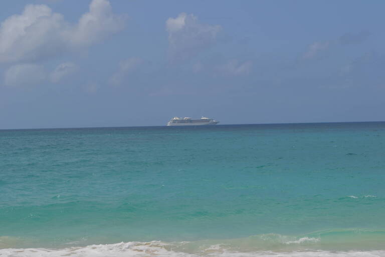 DSC_0487.JPG