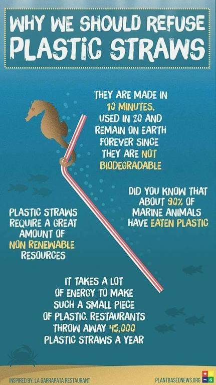 Straws.jpg