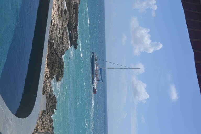 DSC_0230.JPG