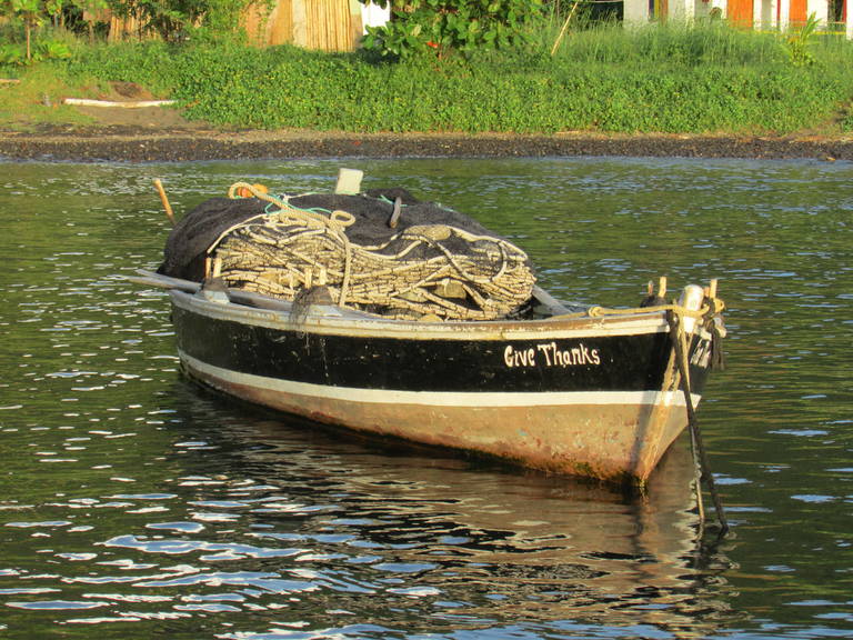 C-02.JPG