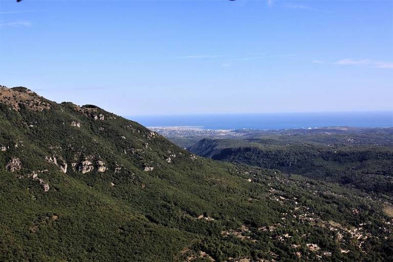 D3-D006.jpg