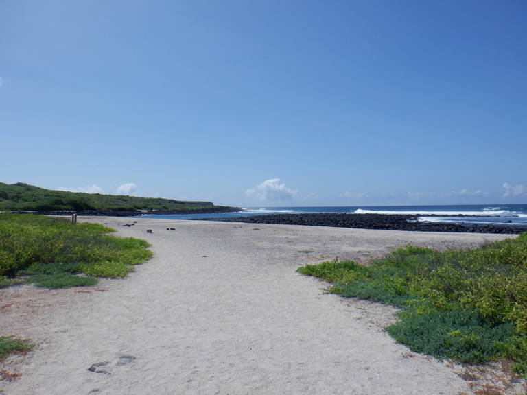 G-04.JPG