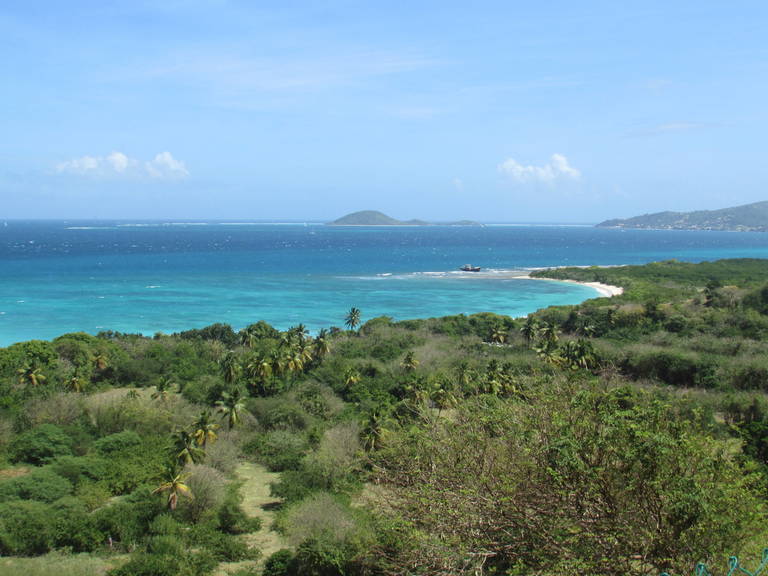 Looking towards Petit Carenage.JPG