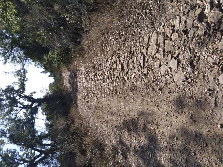 H20211018_130714.jpg